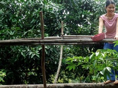 Monkey-bridge