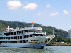 Starlight Cruise
