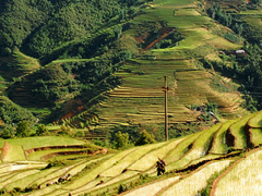 Indochina tours