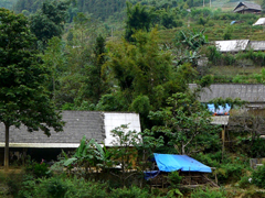 sapa