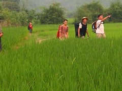 countryside