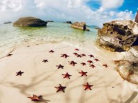 Discover The North – Kayaking – Starfish Beach – National Park – Grand World